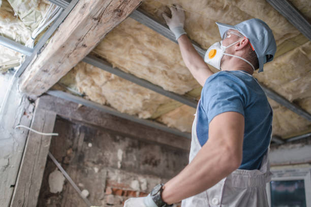 Best Spray Foam Insulation in Mesilla, NM