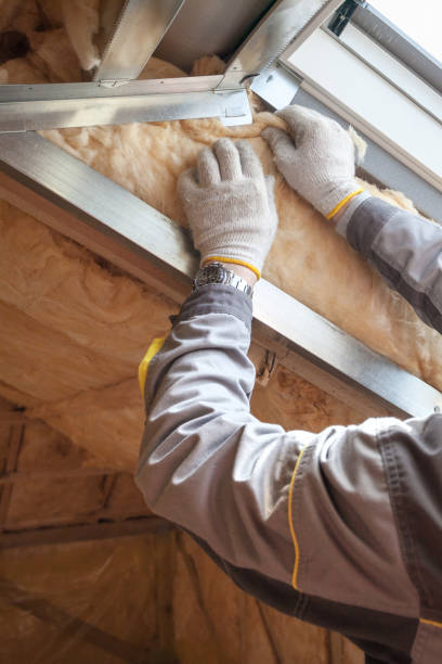 Best Spray Foam Insulation in Mesilla, NM
