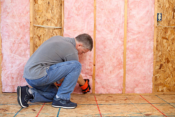 Best Blown-in Insulation in Mesilla, NM