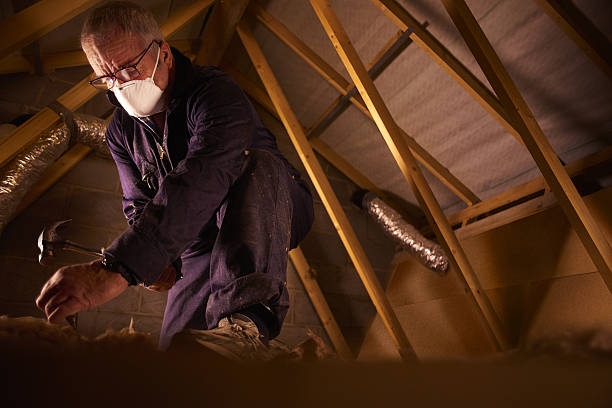 Best Commercial Insulation in Mesilla, NM