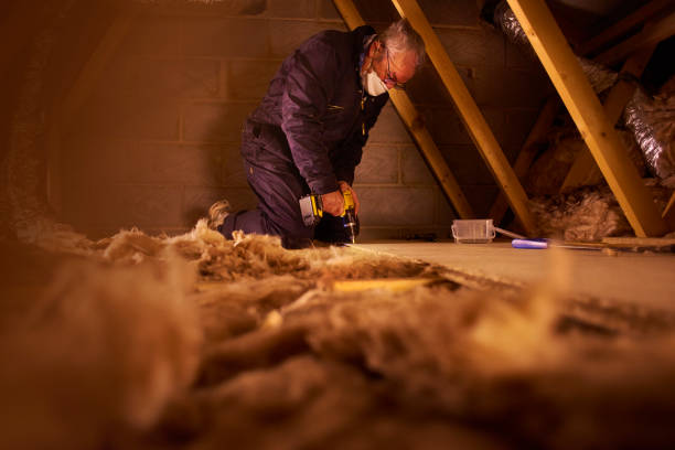Types of Insulation We Offer in Mesilla, NM